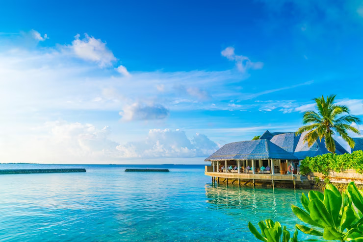 Discover the Joys of Camping and Travel 2024 4 Travel