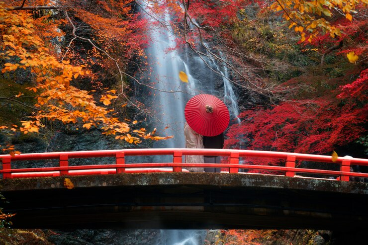 Discovering Japan A Journey Through Culture, Food, and Timeless Beauty 4 The Stunning Natural Beauty of Japan
