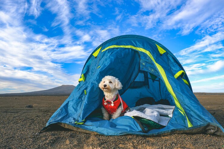 The Ultimate Guide to Camping Tents and Gear for Dogs 2024 3 Best Tents for Camping with Dogs
