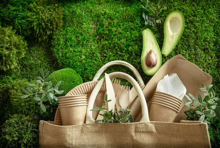The Best Travel Gear for Women 2025: What You Should Pack 13 Eco-Friendly Travel Accessories and Products