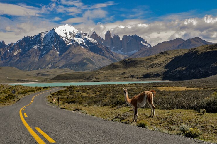 Thrill-Seeker's Guide to 2025: Top Adventure Destinations 7 Patagonia.jpg