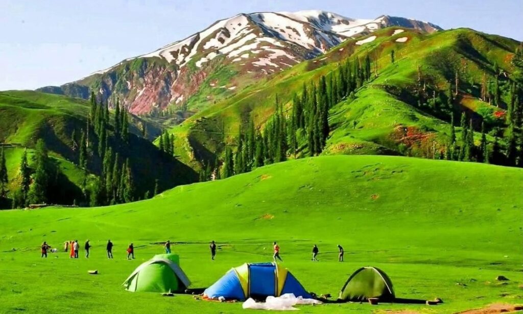 Top 13 Best Camping Sites in Pakistan (2025) 8 Siri Paye: A High-Altitude Meadow Adventure